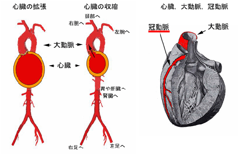 心臓疾患